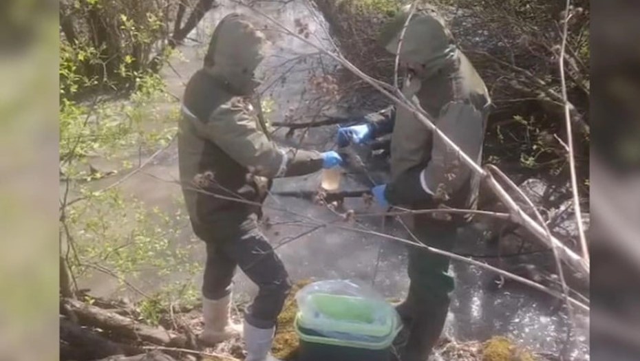 Загрязнение Невы стоками из реки Мурзинки в районе Большого Обуховского моста.