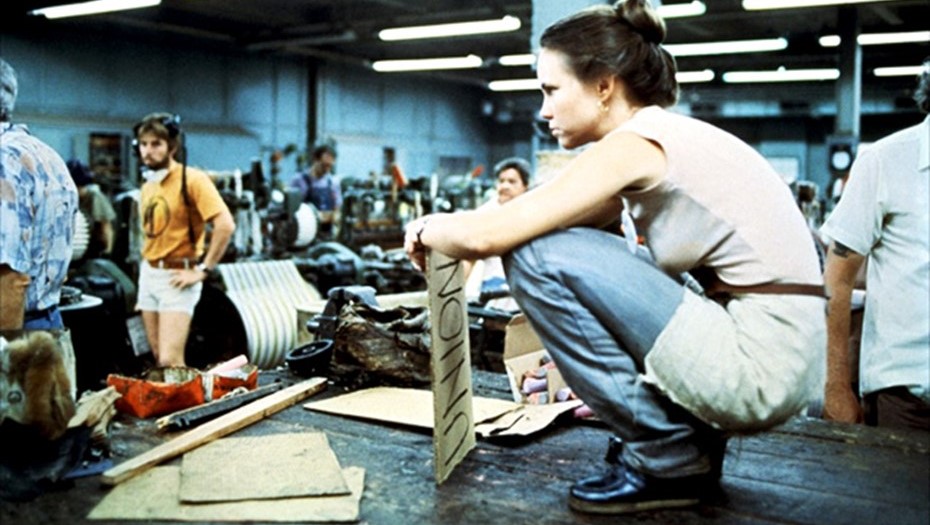 Салли Филд признали лучшей актрисой за роль Нормы Рэй не только на "Оскаре", но также на "Золотом глобусе" и Каннском фестивале