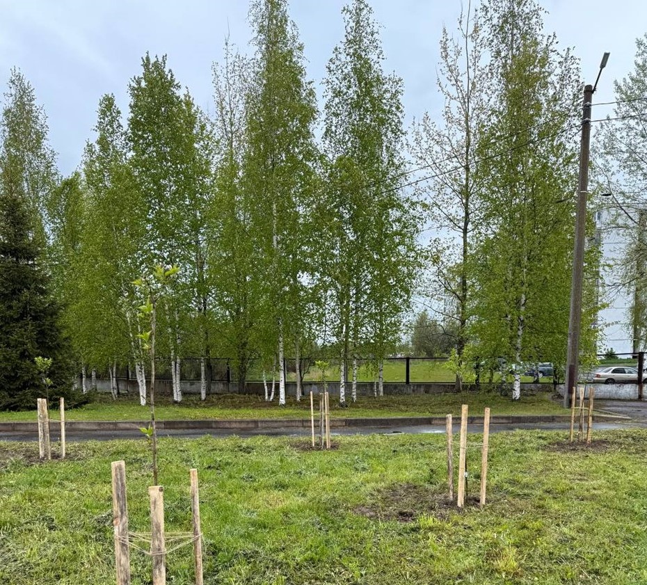 Электроники в зеленом Электроники в зеленом