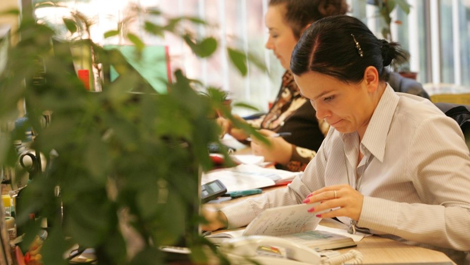 Офисные будни в Пететбурге. Офисные будни в Пететбурге.