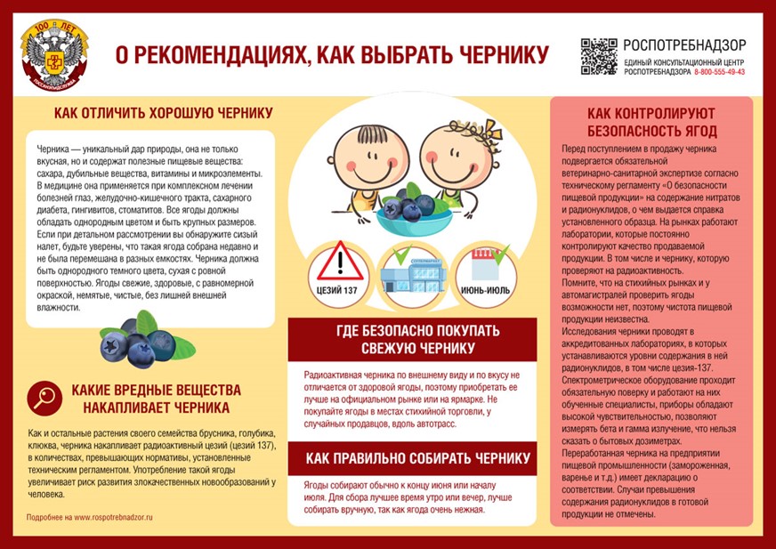 Рекомендации ведомства о правильном сборе и выборе черники